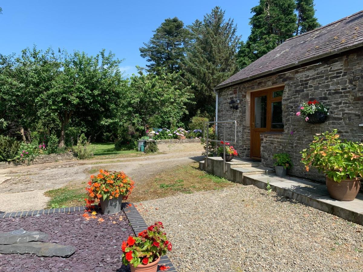 Parc Farm B&B Llanarth  Zewnętrze zdjęcie