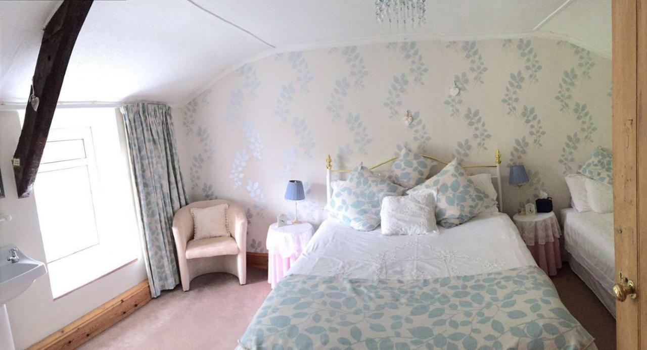 Parc Farm B&B Llanarth  Zewnętrze zdjęcie