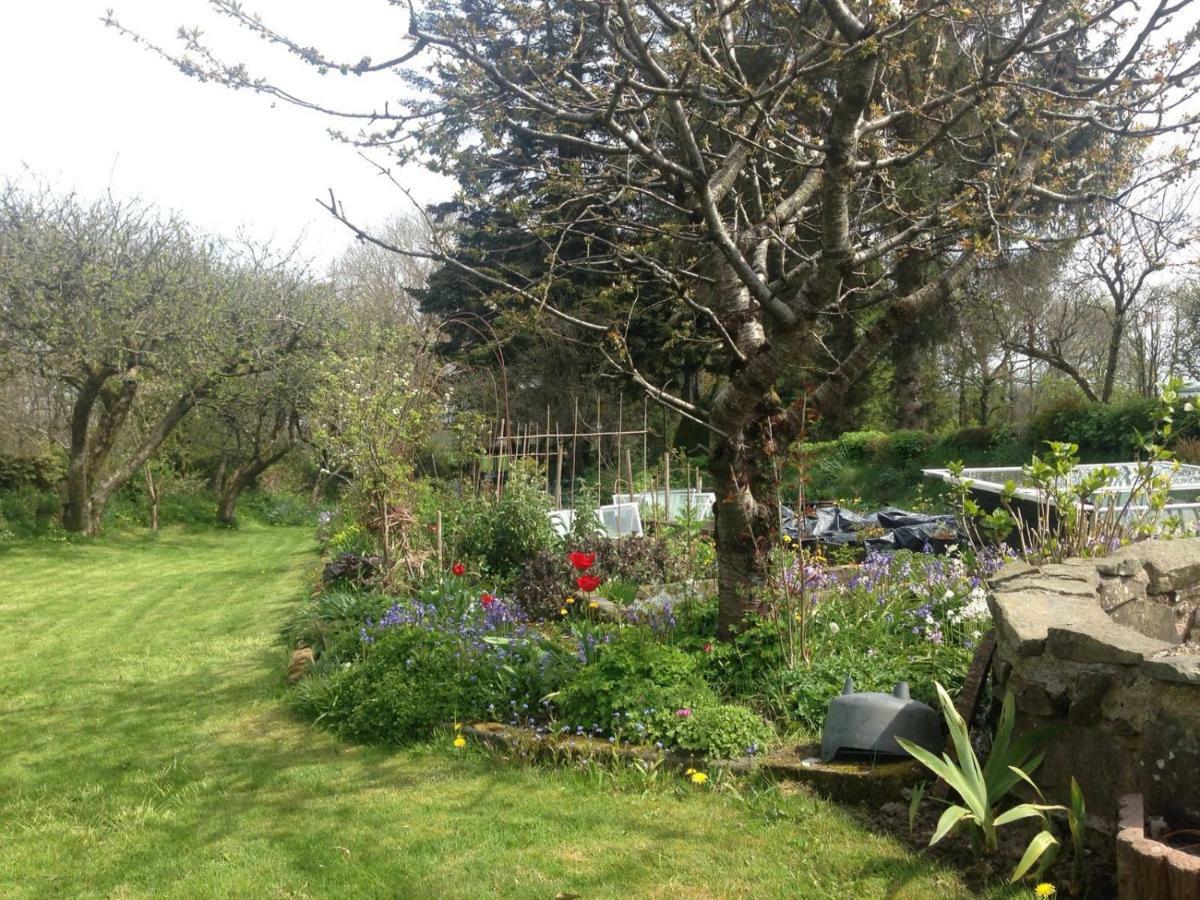 Parc Farm B&B Llanarth  Zewnętrze zdjęcie
